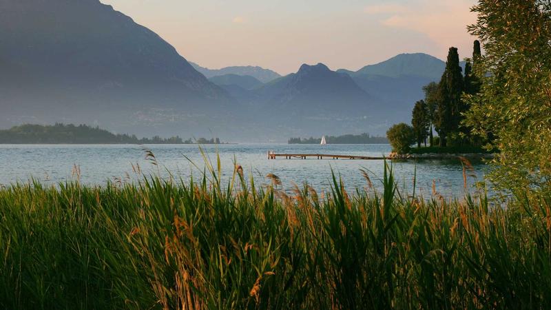 2024客厅装修设计全攻略：从布局到软装一步到位